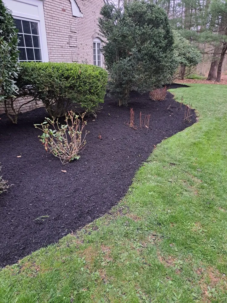Expert landscape design in Manville, NJ - Alberto Outdoor Landscape