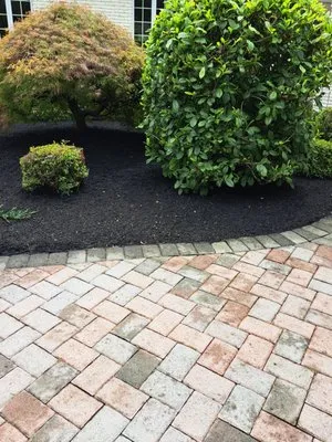 Alberto Outdoor Landscape