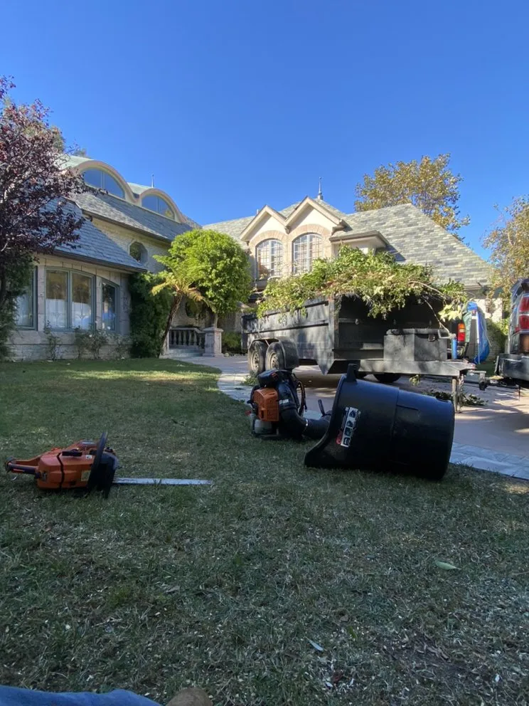 Professional outdoor landscaping experts serving San Fernando Valley, CA - Alberto Tree And Lawn Services