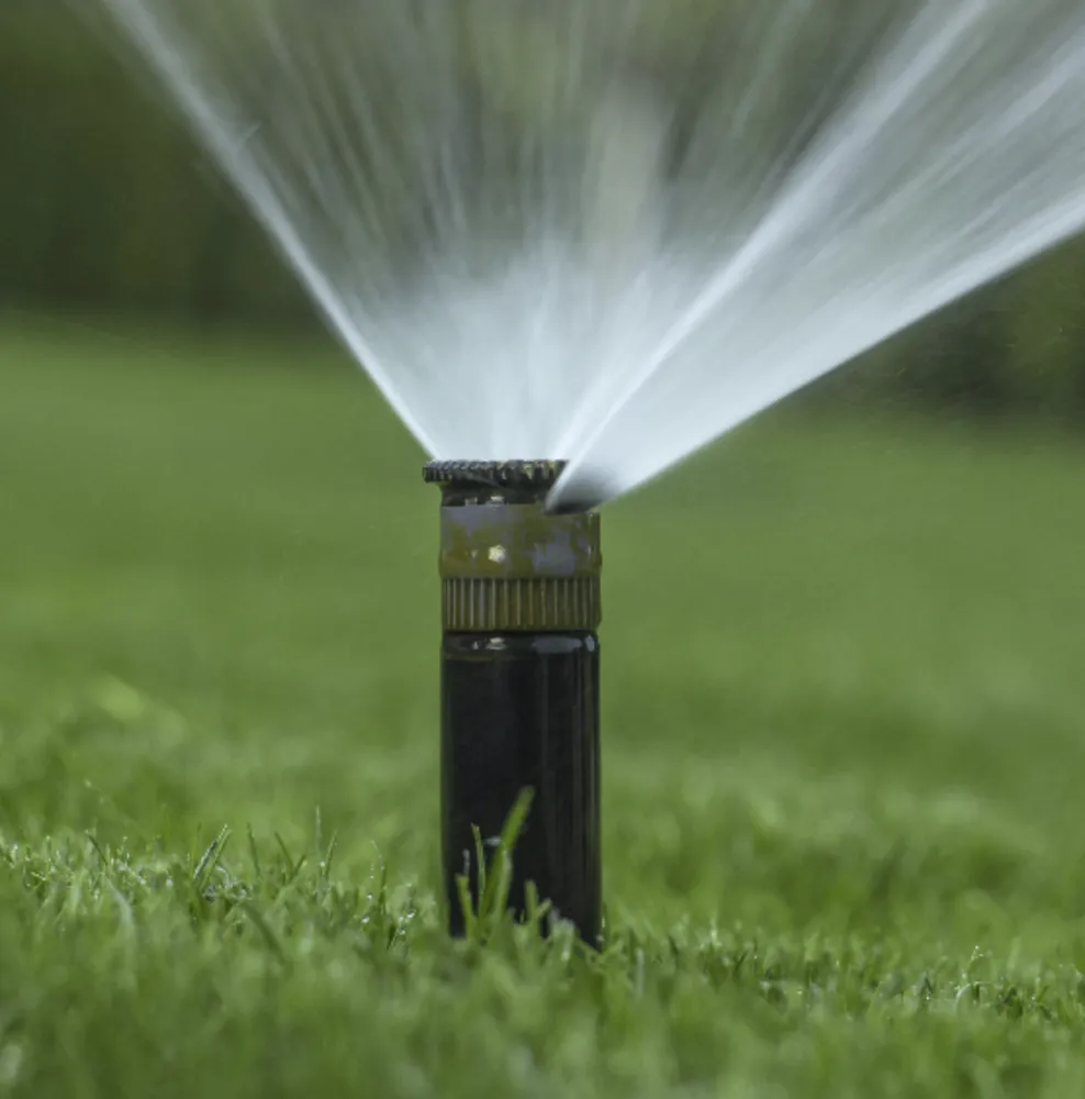 Reliable landscaping services experts serving Los Angeles, CA - Alberto's Gardening