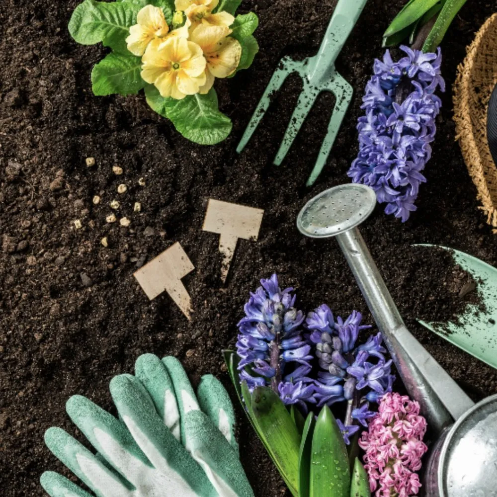 Local residential landscaping in Los Angeles, CA by Alberto's Gardening