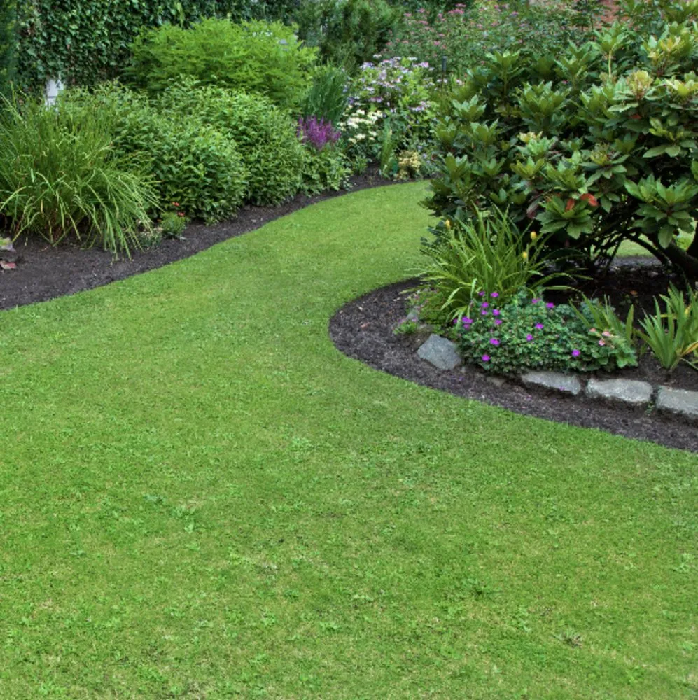 Trusted landscape design for beautiful yards across Los Angeles, CA - Alberto's Gardening