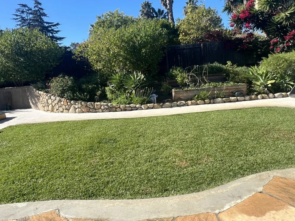 Top-rated residential landscaping for beautiful yards across Santa Barbara, CA - Alberto’s Landscape