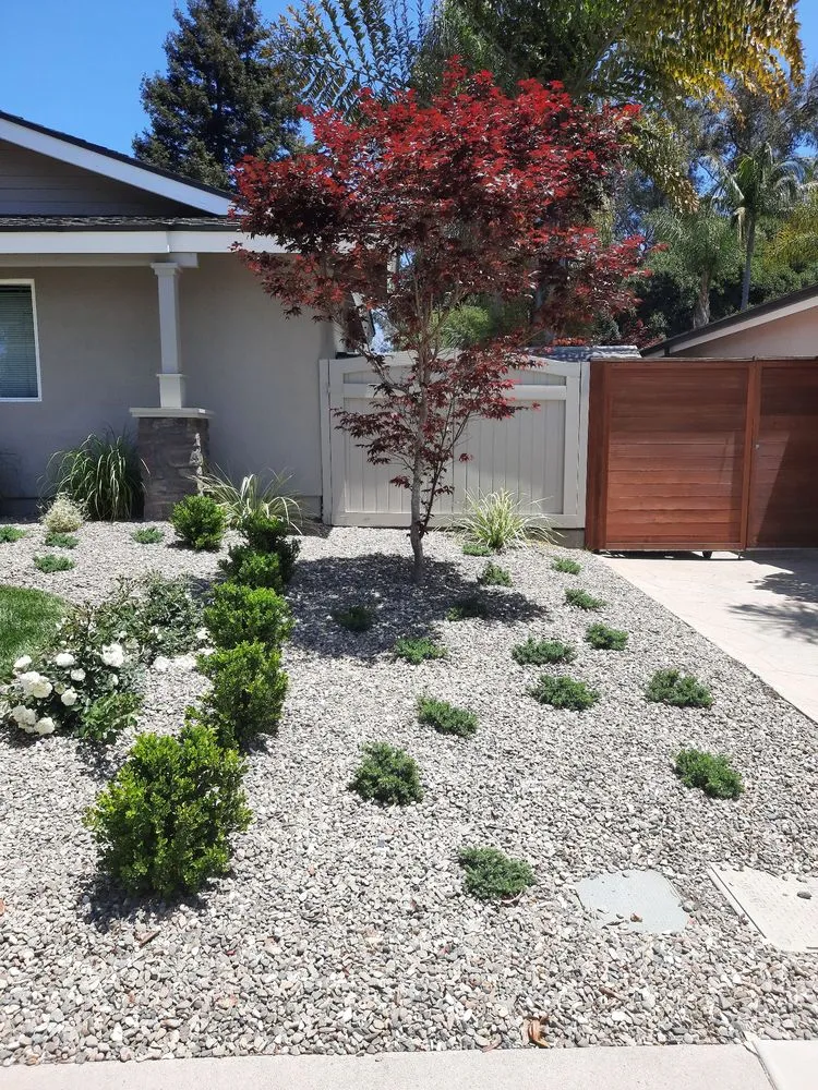 Reliable lawn care service experts serving Santa Barbara, CA - Alberto’s Landscape