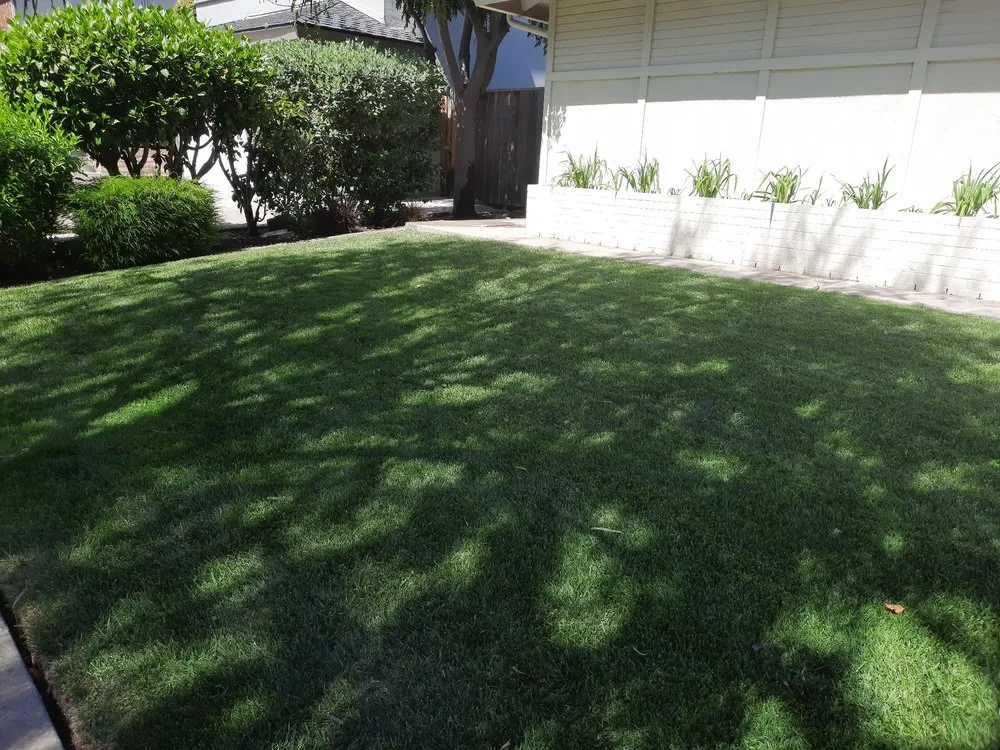 Professional garden landscaping experts serving Santa Barbara, CA - Alberto’s Landscape