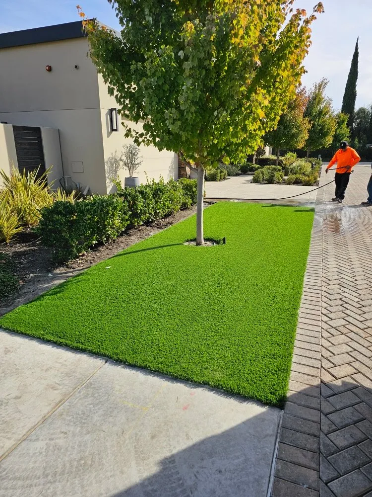 Local yard cleanup service in Modesto, CA - Alberto's Landscape Services