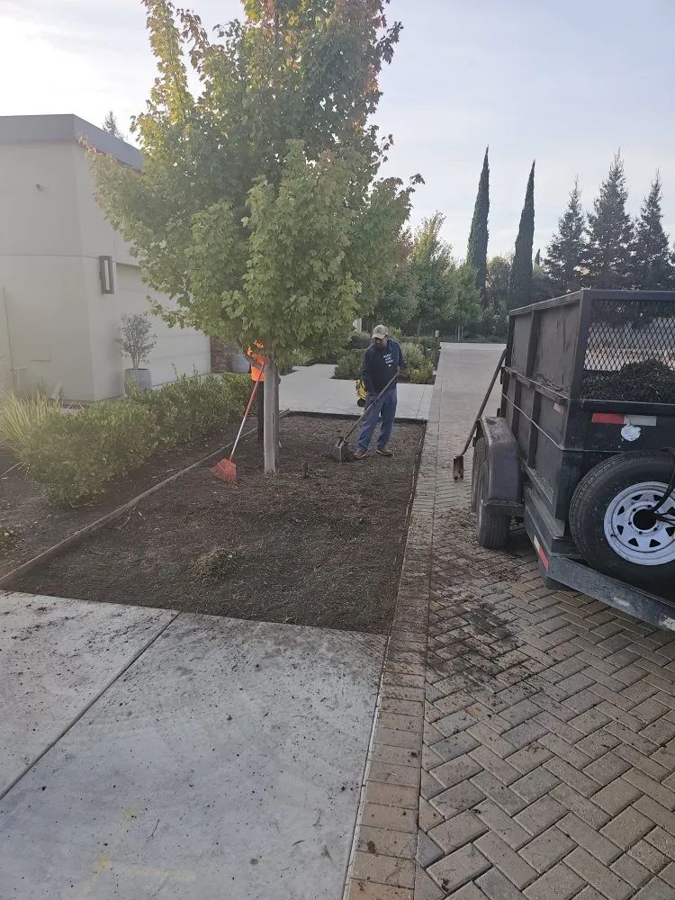 Expert outdoor landscaping in Modesto, CA by Alberto's Landscape Services