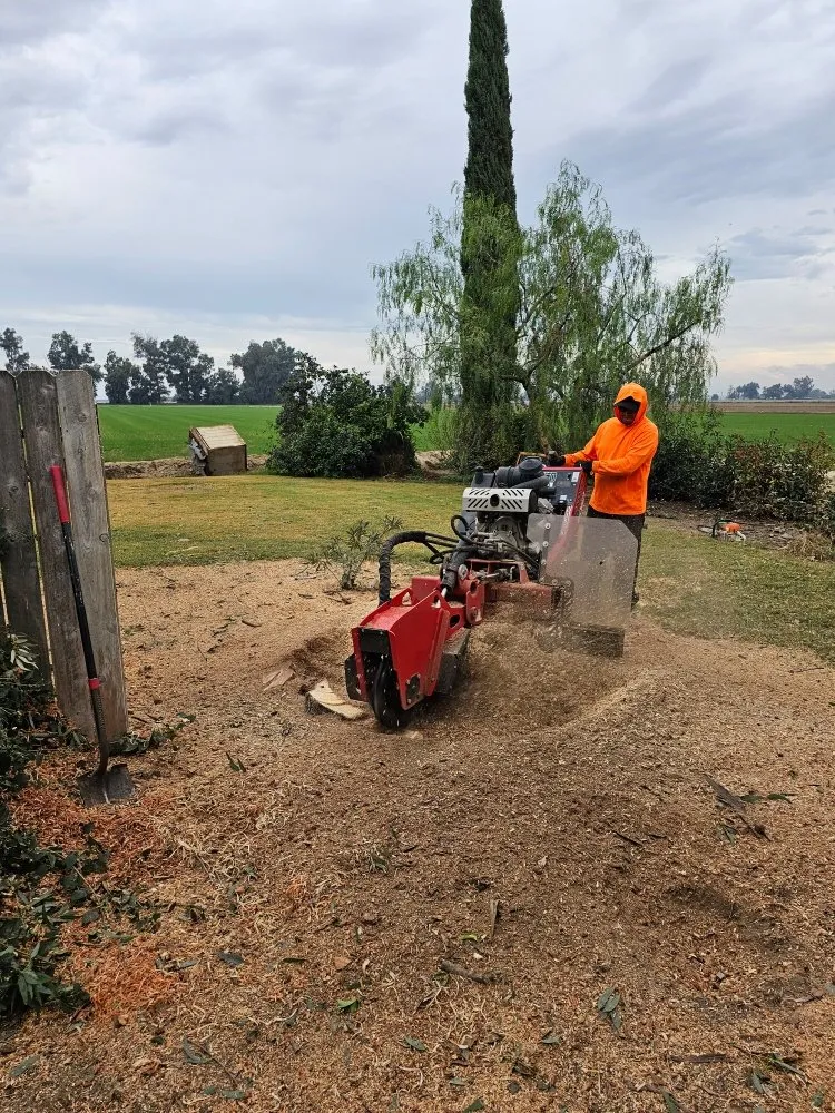 Custom garden landscaping in Modesto, CA by Alberto's Landscape Services