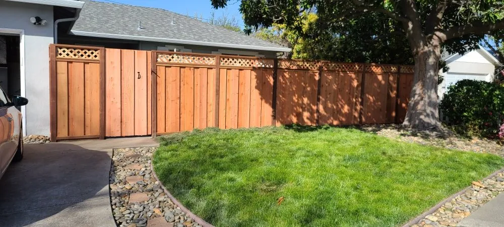 Expert yard cleanup service for residential properties in Modesto, CA by Alberto's Landscape Services