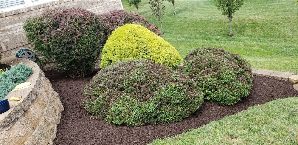 Top-rated yard cleanup service in Staunton, VA by Alberto's Landscaping & House Cleaning
