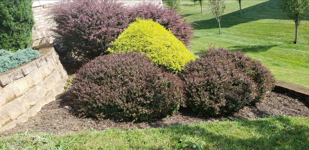 Trusted lawn care service near you across Staunton, VA - Alberto's Landscaping & House Cleaning