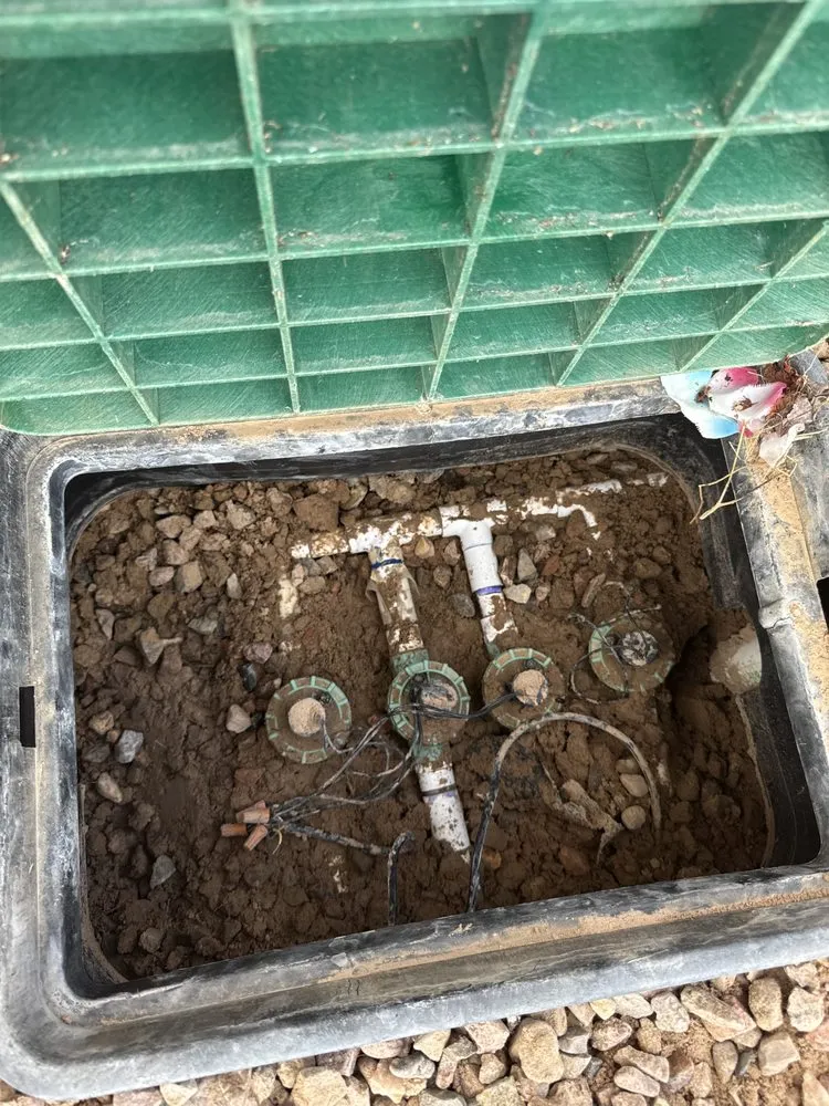 Local lawn care service for year-round maintenance in Albuquerque, NM by Alberto's Landscaping