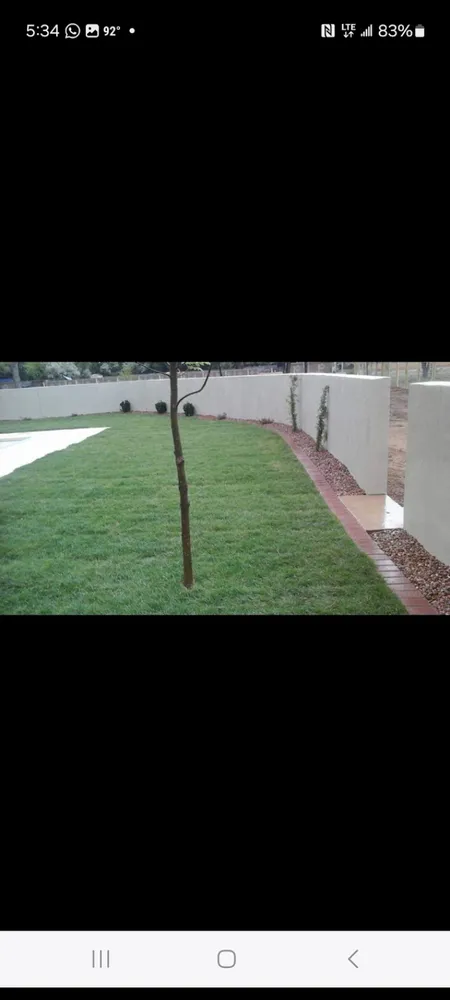 Professional residential landscaping experts serving Albuquerque, NM - Alberto's Landscaping