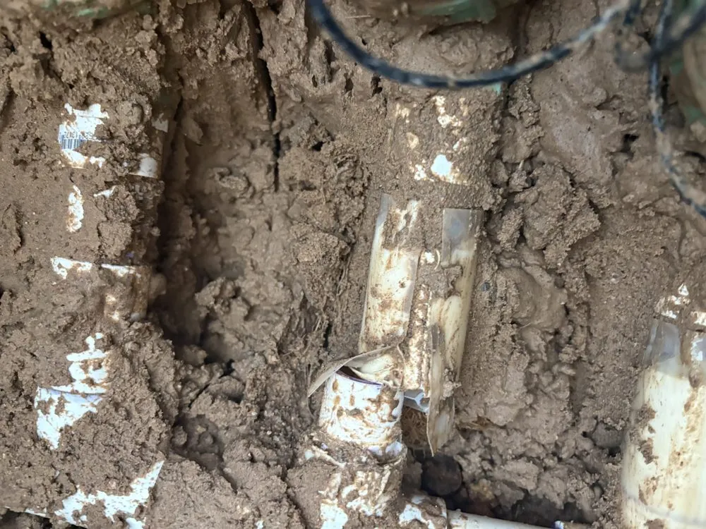 Reliable yard cleanup service in Albuquerque, NM - Alberto's Landscaping