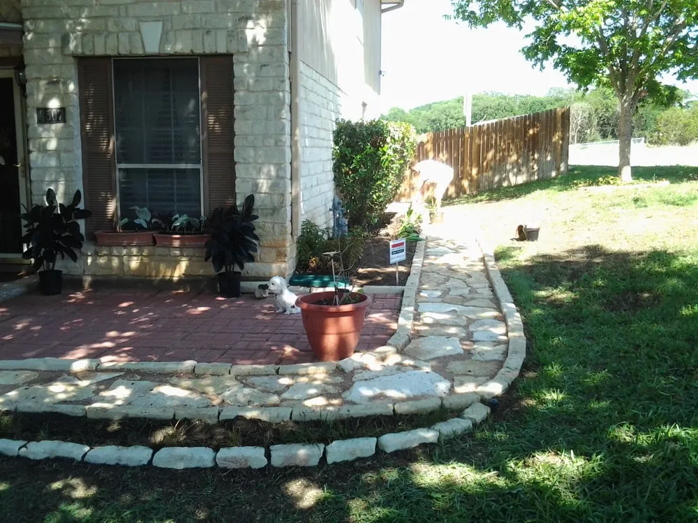 Trusted yard cleanup service in Austin, TX by Alberto's Landscaping