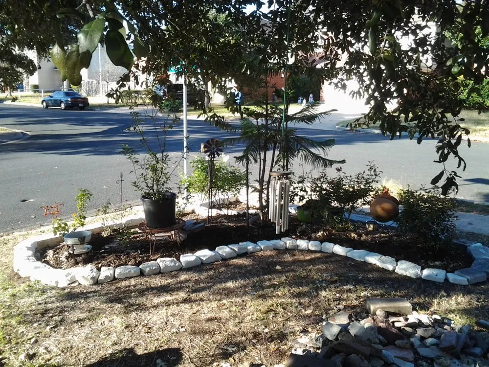 Professional residential landscaping near you in Austin, TX by Alberto's Landscaping