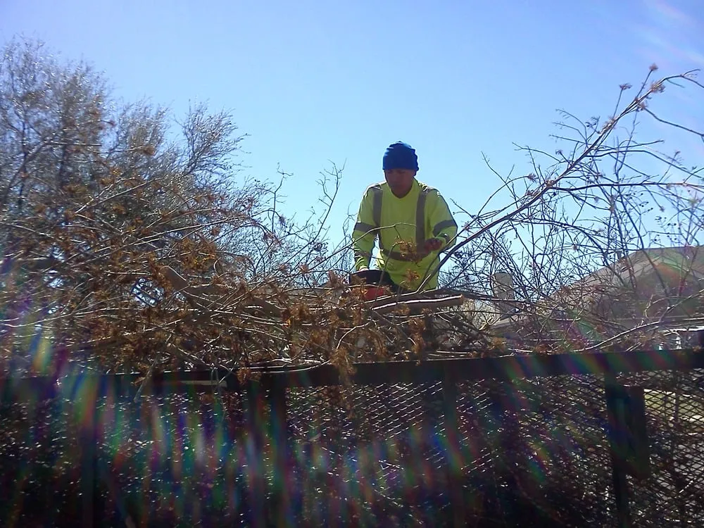 Expert yard cleanup service in Austin, TX - Alberto's Landscaping