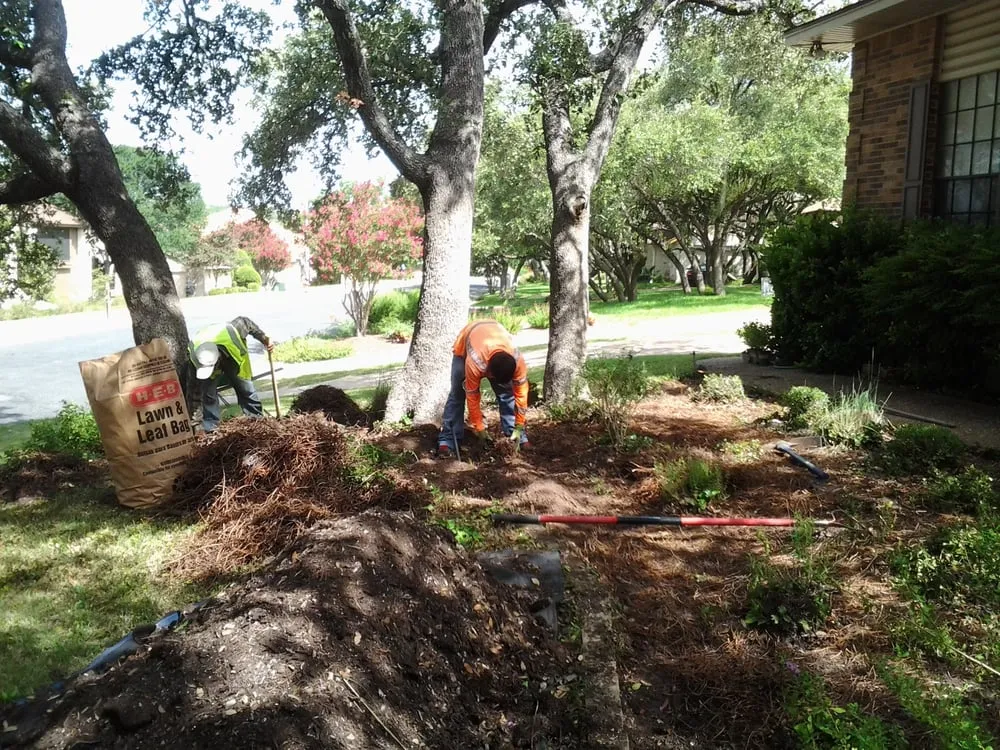 Trusted landscape design in Austin, TX by Alberto's Landscaping