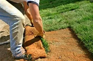 Top-rated yard maintenance experts serving Austin, TX - Alberto's Landscaping