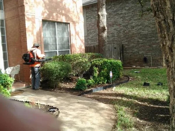 Reliable residential landscaping for year-round maintenance across Austin, TX - Alberto's Landscaping