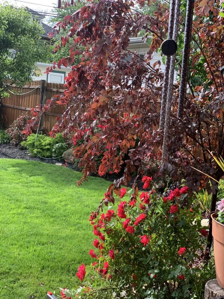 Expert residential landscaping experts serving Harrisburg, PA - Alberto's Landscaping