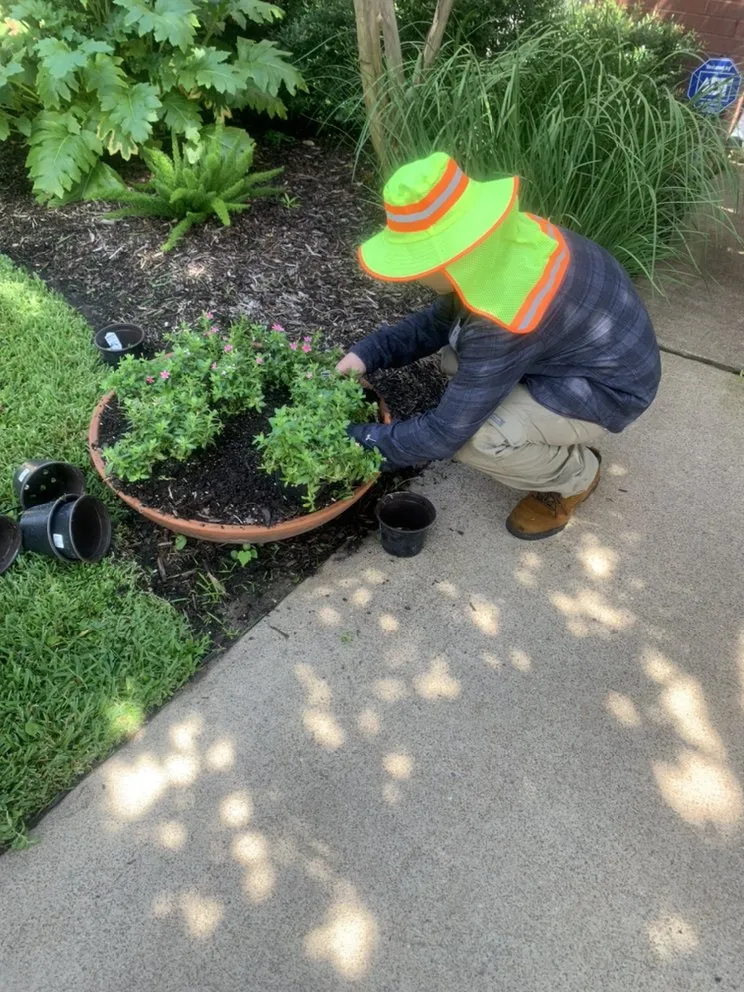 Affordable landscaping services with custom design across Houston, TX - Alberto’s Landscaping