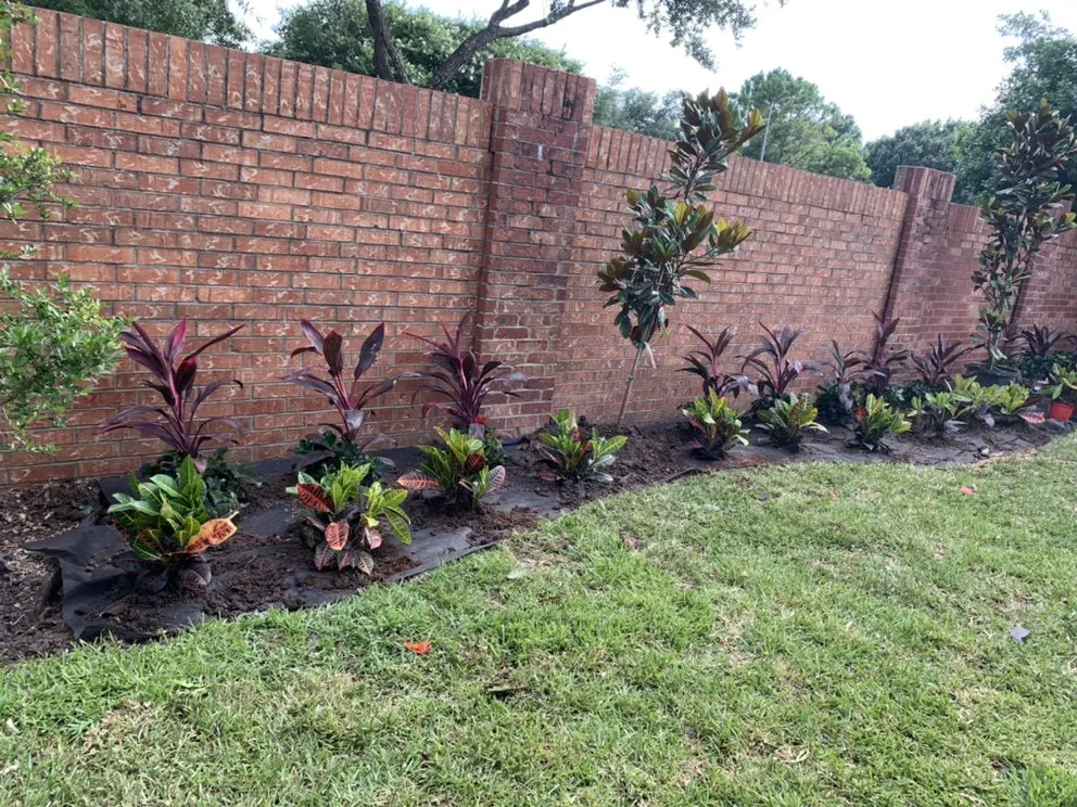 Top-rated lawn care service for beautiful yards across Houston, TX - Alberto’s Landscaping