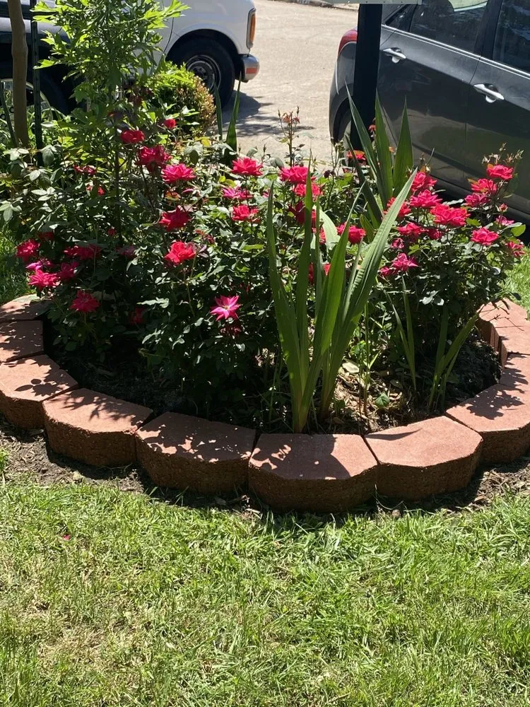 Expert garden landscaping in Houston, TX - Alberto’s Landscaping
