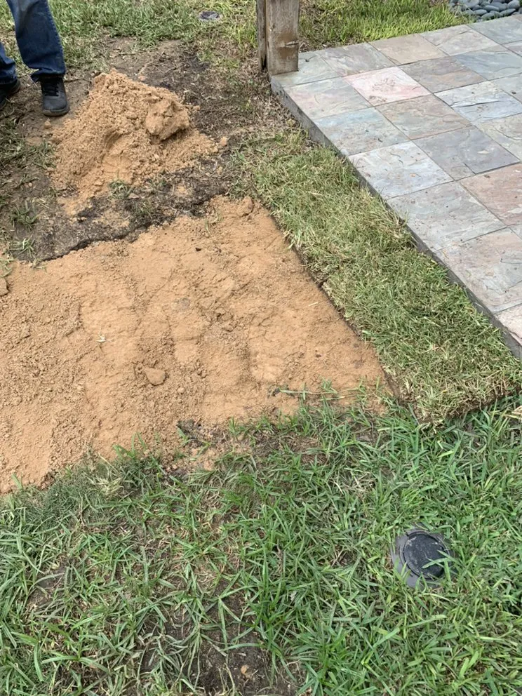 Local landscape design in Houston, TX - Alberto’s Landscaping