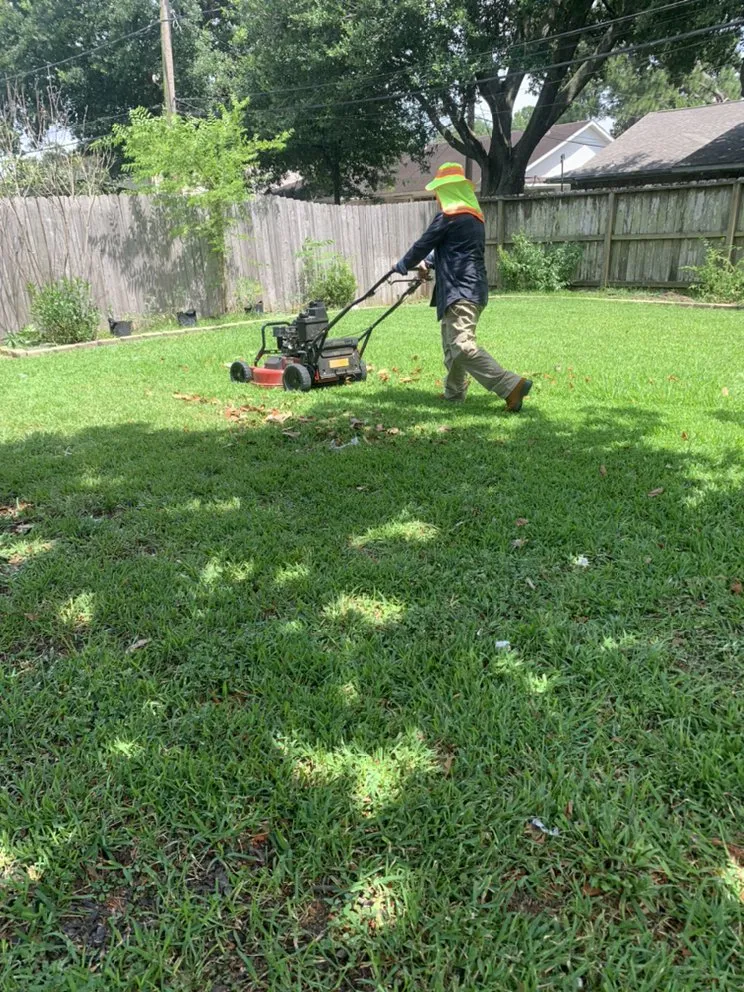 Local landscape design with custom design across Houston, TX - Alberto’s Landscaping