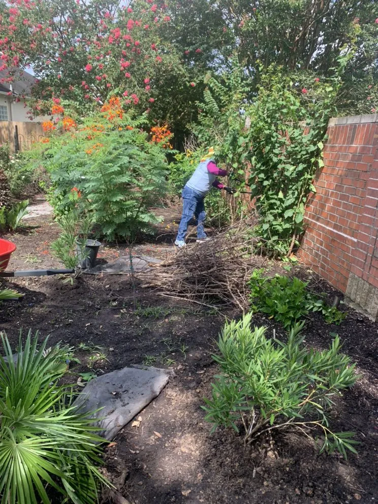 Trusted yard cleanup service for year-round maintenance across Houston, TX - Alberto’s Landscaping