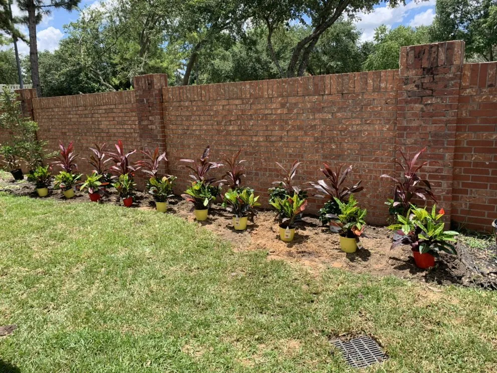Affordable landscaping services in Houston, TX by Alberto’s Landscaping
