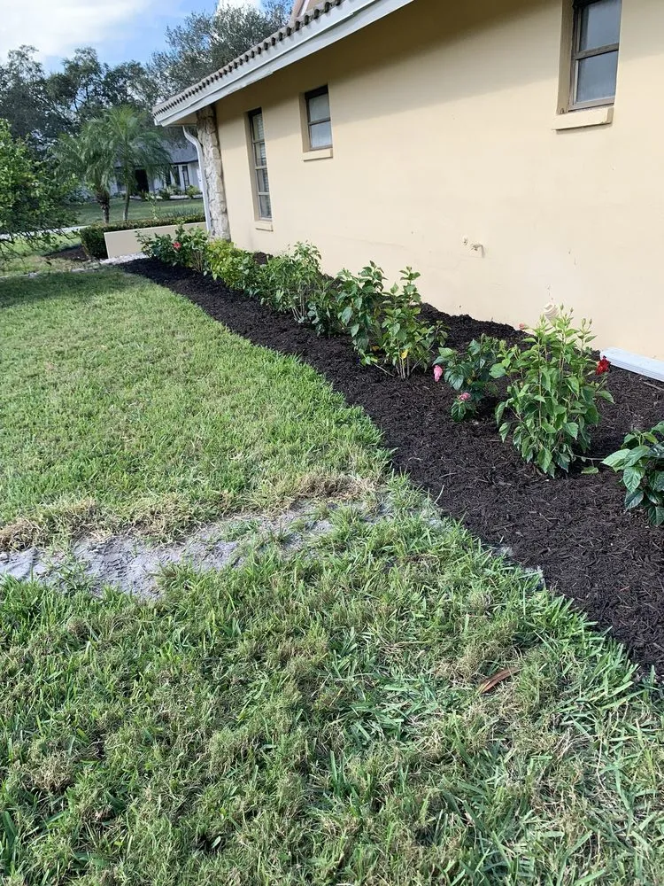 Expert lawn mowing service in Immokalee, FL - Alberto's Landscaping