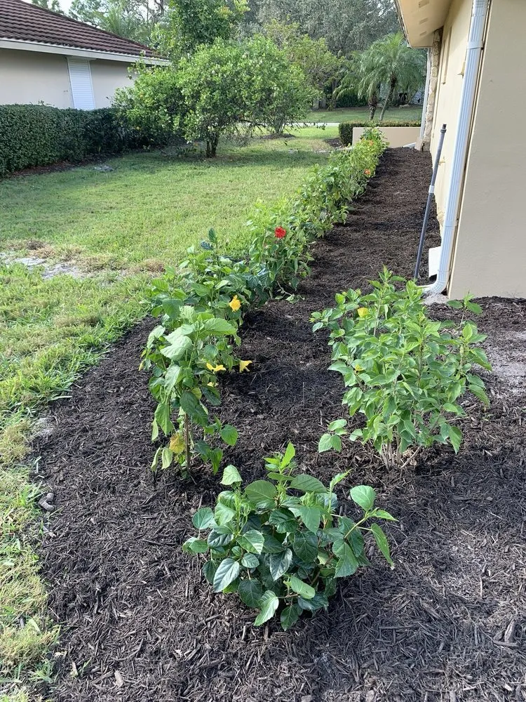 Reliable lawn mowing service in Immokalee, FL - Alberto's Landscaping