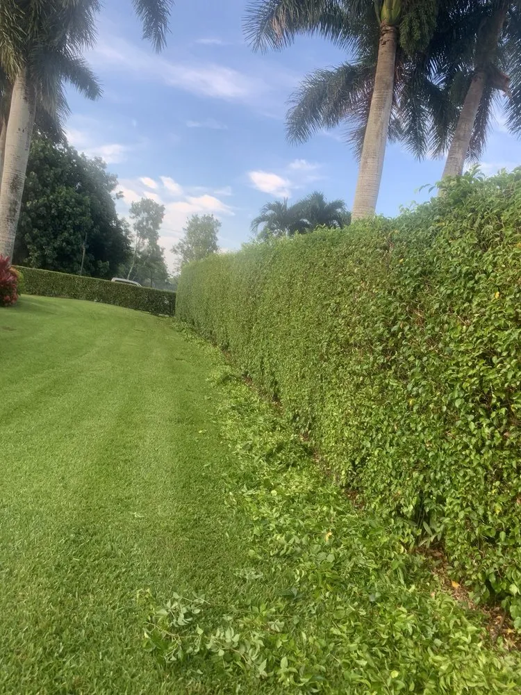 Expert garden landscaping near you in Immokalee, FL by Alberto's Landscaping