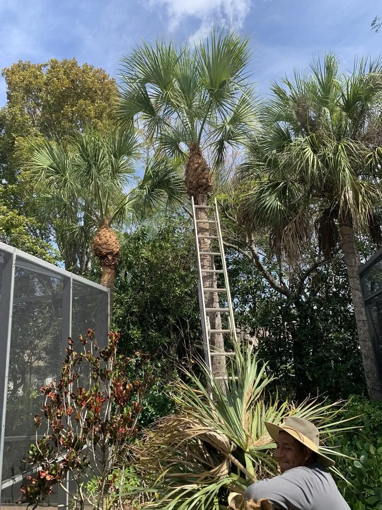 Custom lawn care service experts serving Immokalee, FL - Alberto's Landscaping