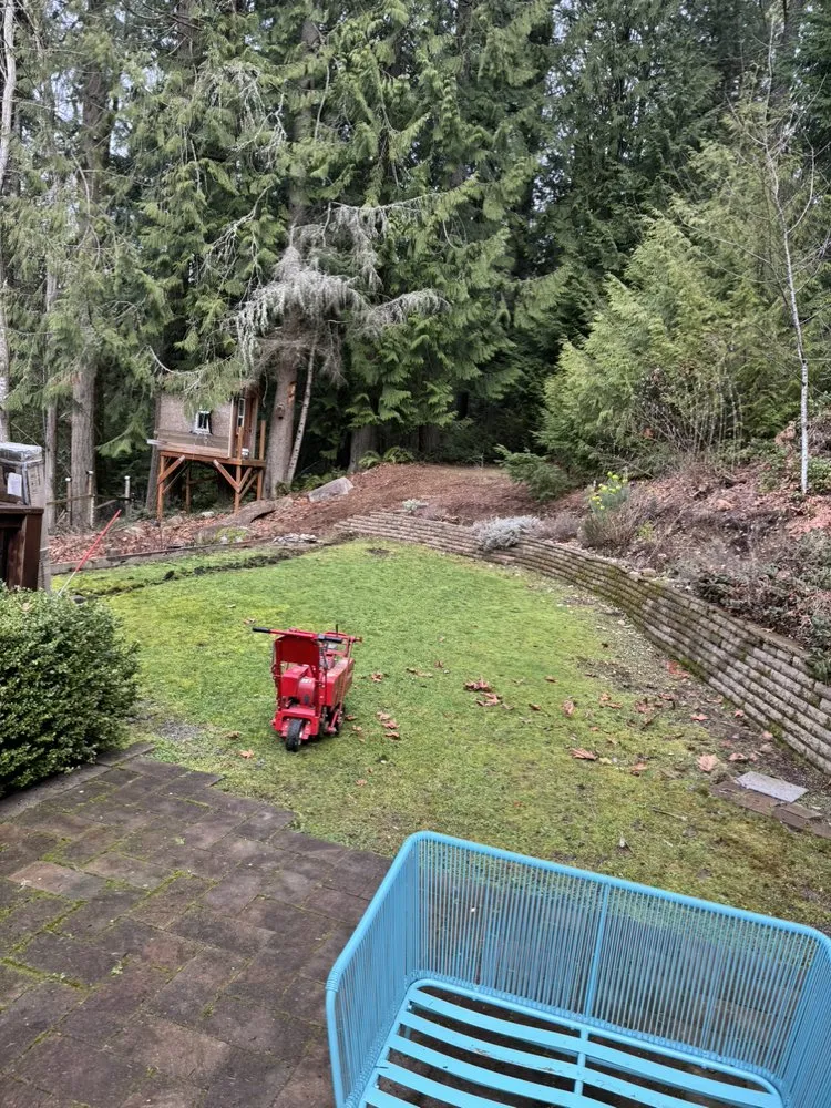 Professional lawn care service experts serving Seattle, WA - Alberto's Landscaping