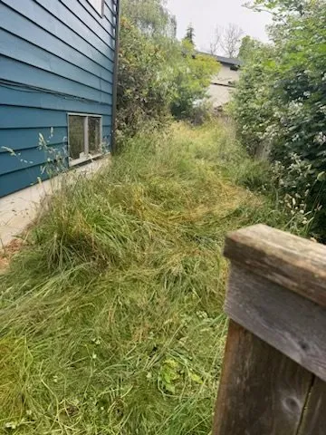 Professional residential landscaping experts serving Seattle, WA - Alberto's Landscaping