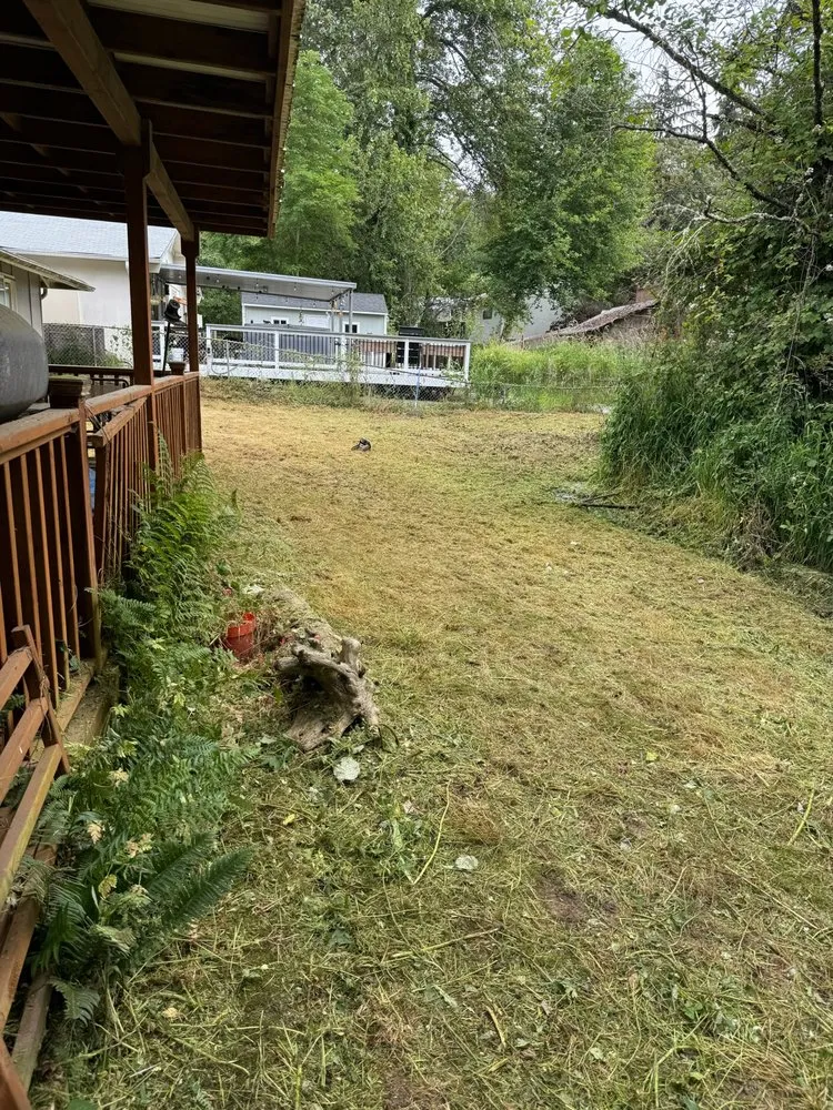 Top-rated lawn mowing service in Seattle, WA - Alberto's Landscaping