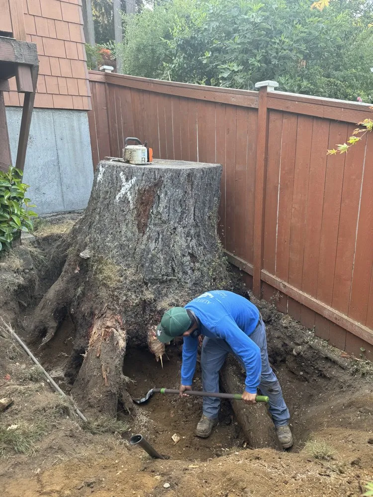 Local landscape installation for year-round maintenance across Seattle, WA - Alberto's Landscaping