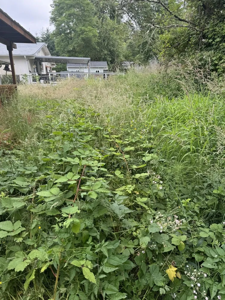 Reliable outdoor landscaping experts serving Seattle, WA - Alberto's Landscaping