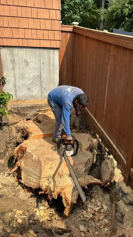 Expert garden landscaping with custom design in Seattle, WA by Alberto's Landscaping