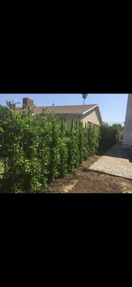 Custom lawn mowing service in Palm Desert, CA by Alberto’s Landscaping Services