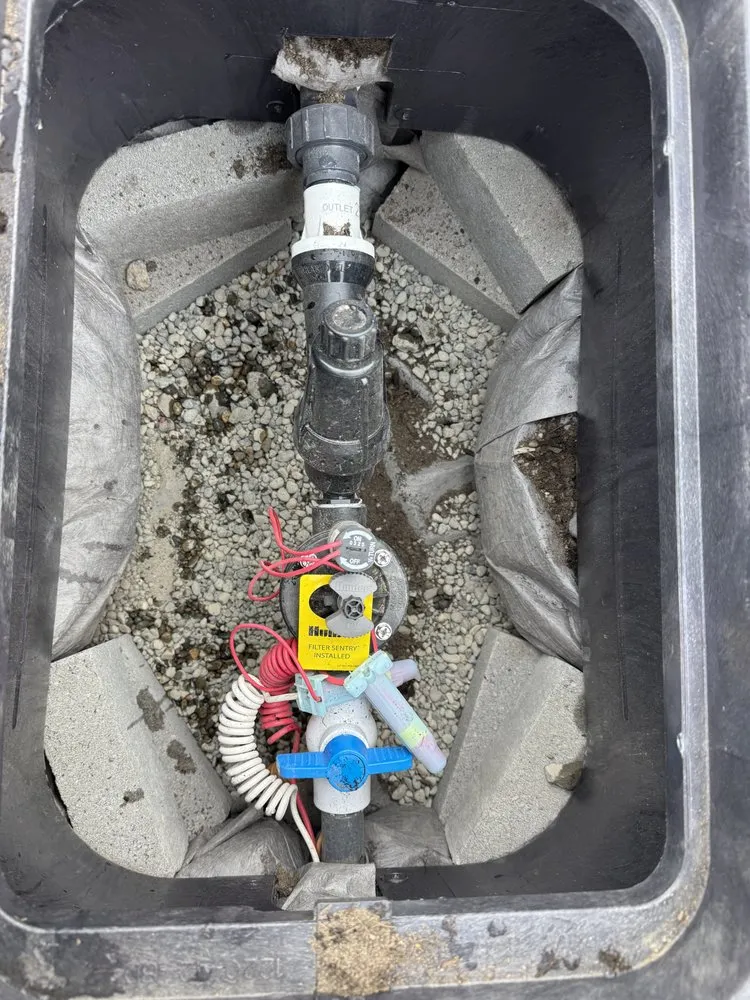 Reliable yard cleanup service in Tacoma, WA by Alberto’s Landscaping