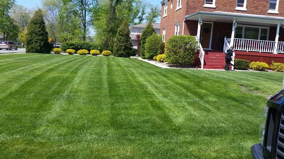 Local residential landscaping near you in Alsip, IL by Alberts & Sons