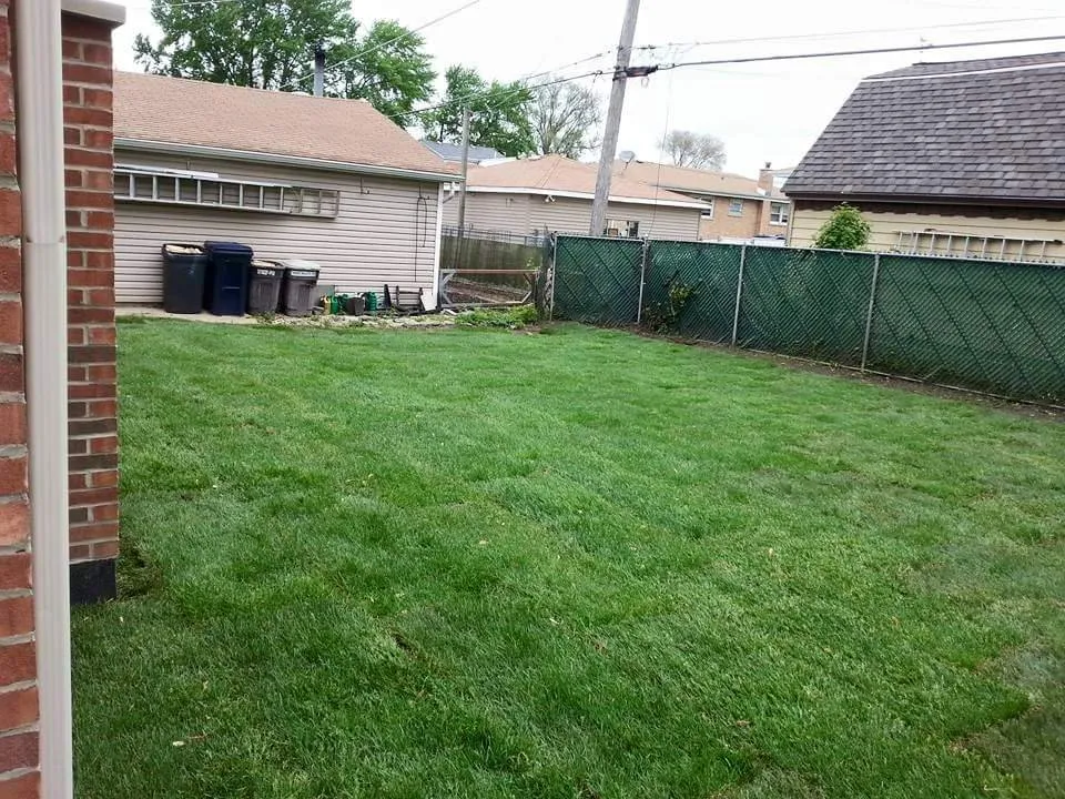 Affordable landscaping services experts serving Alsip, IL - Alberts & Sons