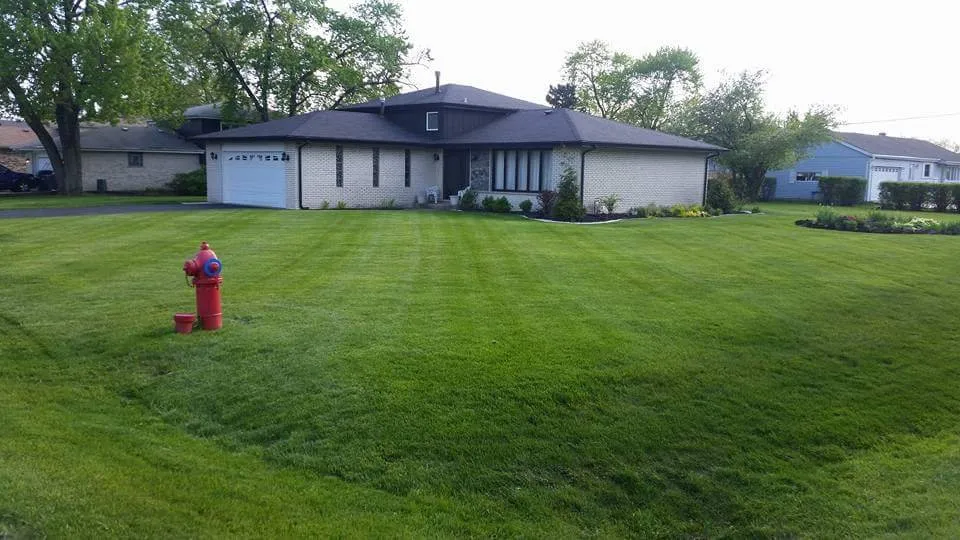 Expert yard cleanup service with custom design across Alsip, IL - Alberts & Sons