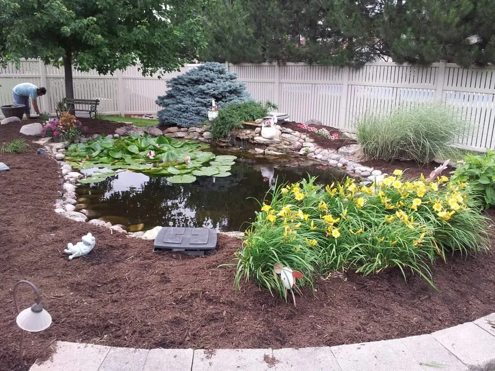 Top-rated yard cleanup service in Alsip, IL - Alberts & Sons