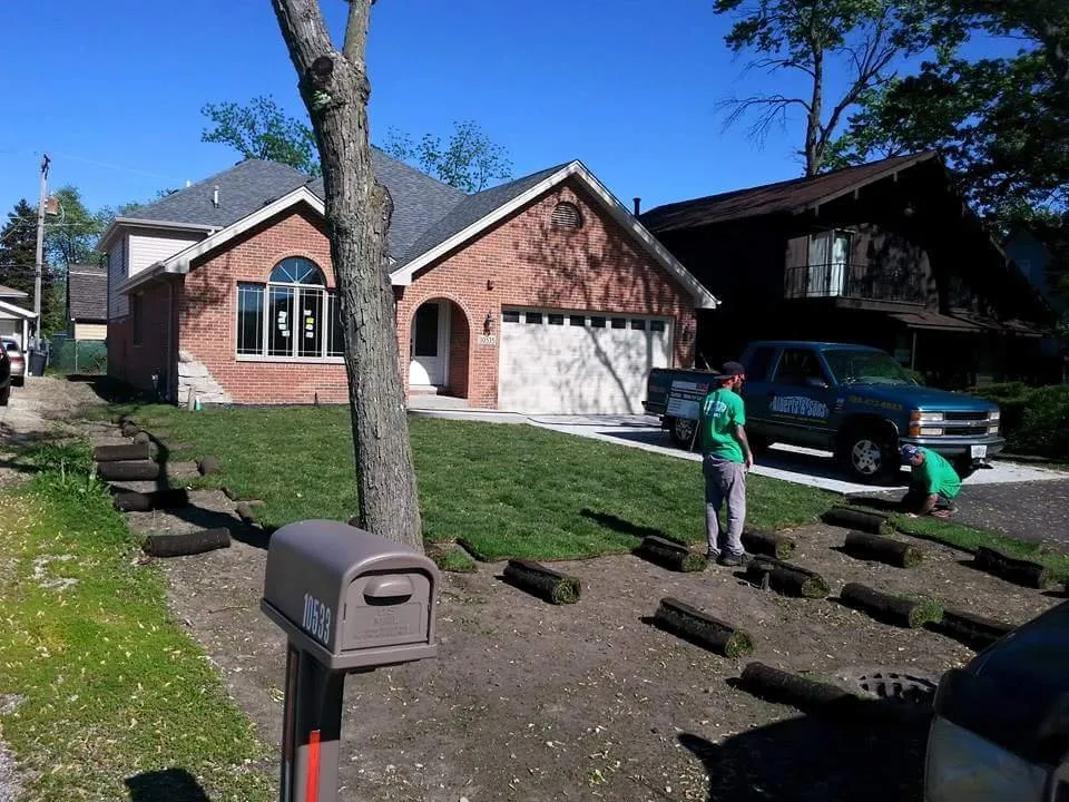 Custom lawn care service near you in Alsip, IL by Alberts & Sons