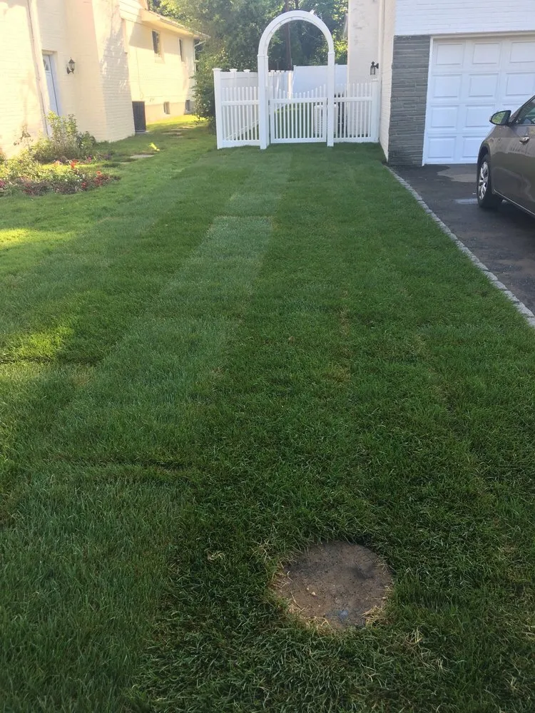 Top-rated yard cleanup service near you across Albertson, NY - Albert's Landscaping